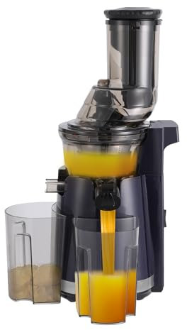 250W Elektrischer Entsafter Slow Juicer mit Rückwärts Funktion Obst- und Gemüseextraktor Fruchtsaftpresse Dual-Port-Safttrennungsstruktur BPA-frei Kaltentsafter für Obst Gemüse Granatapfel