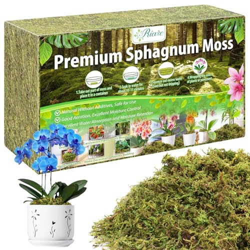 Riare Premium 600g Sphagnum Moss for Plants – 24L Natural Moss for Orchids, Soft Green Decorative Moss for Succulents, Reptiles & DIY Crafts