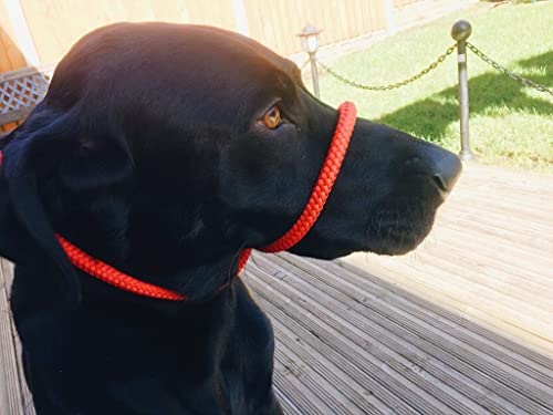 All in one Headcollar Lead/Halter/Head Collar To Anti Stop Pull Fits All Dog (Red)