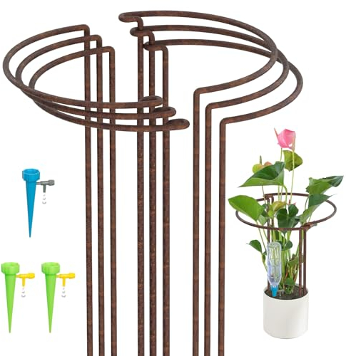 KAZITOO 6 Pack 60cm Tall Rusty Bow Plant Support Stakes, Large Half Round Natural Rust Flower Support Ring Cage with 3 Self Watering Spikes, Strong Metal Garden Border for Peonies, Hydrangea,Monstera