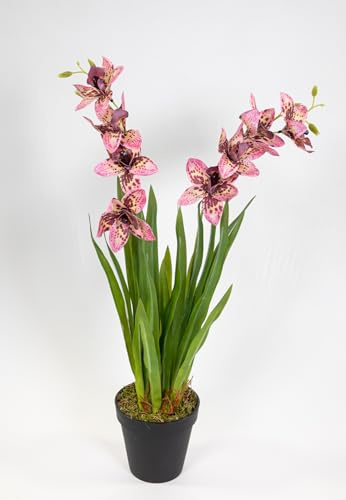 Seidenblumen Roß Orchidee Cymbidie mit Blätter 56cm im Topf DP künstliche Blumen Pflanzen Kunstpflanzen Kunstblumen (Rosa-Creme)