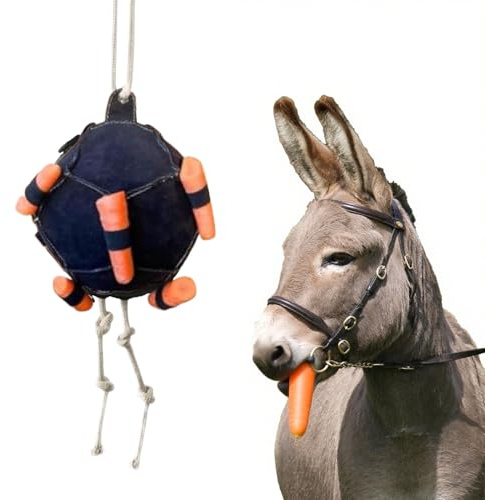 Foderboll - foderboll med morot för långsam utfodring - rolig tidsfördriv mot tristess för och djur i stallet