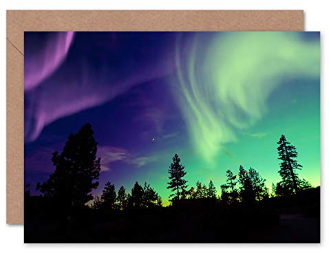Fine Art Prints CLDT0167 Pine Trees Silhouette Northern Lights Greeting Card With Envelope Inside Premium Quality,Black|green,12.5 x 17.5 cm