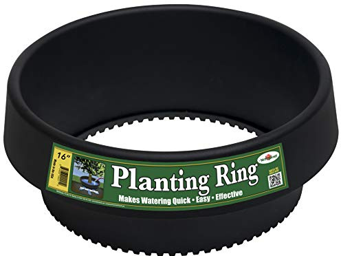 WaterRounds - 6 Pack, 16 in Planting Ring, Edging and Water Retention
