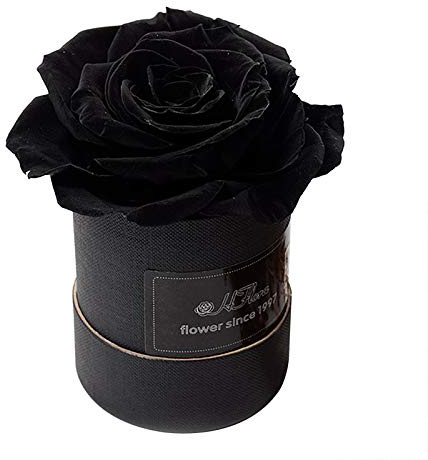 SFTYUFS Beste schwarze echte Rosen die ein Jahr halten Box von Rosen konserviert Ewige Rosen Infinity Rosen Premium Echte Rosen Handgefertigt Lange Rosen Rosen in runder schwarzer Geschenkbox