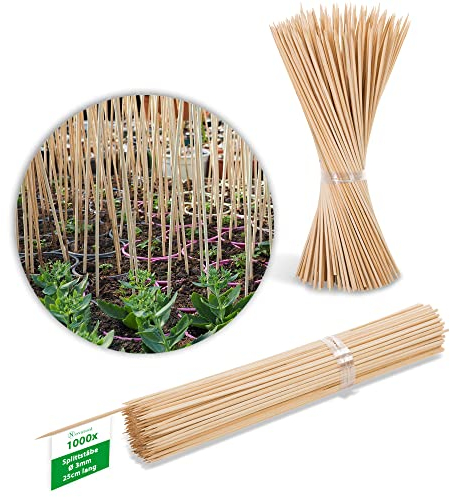 Novatool 1000 stecche da 25 cm x 3,0 mm I Natur I per piante rampicanti in legno di bambù