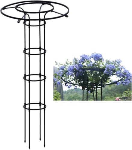 LKUOU Parapluie obélisque Jardin Escalade Plante Support,métal Plantes en Pot intérieur extérieur Fleurs légumes Fruits Vigne Support (Color : Black, Size : 180cm/70.9in)