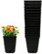 MURGIPLAST Pots carrés en Plastique pour la Culture en intérieur, Vases de Plantation de graines pour la Cultivation, Récipients extérieurs pour Plantes et Fleurs, 1 Litre, 10x10x14 cm, 15 pcs.