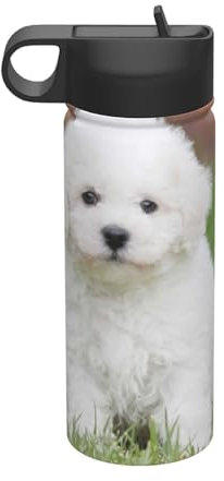 YFSGDLBN Bichon Frise Dog Printed 18OZ Insulated Space Jug with Straw Sports Water Bottle
