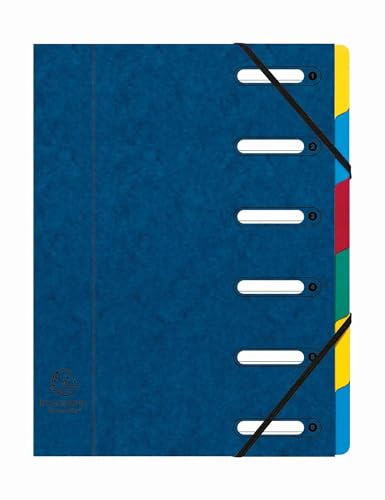 Exacompta - Ref. 5306E – Karton mit 8 Ordnern Harmonika – mit Gummibändern und ausgeschnittenen Fenstern – Deckel aus glänzendem Karton – erweiterbare Rückseite – 6 Fächer – für A4 – Maße: 24,5 x 32
