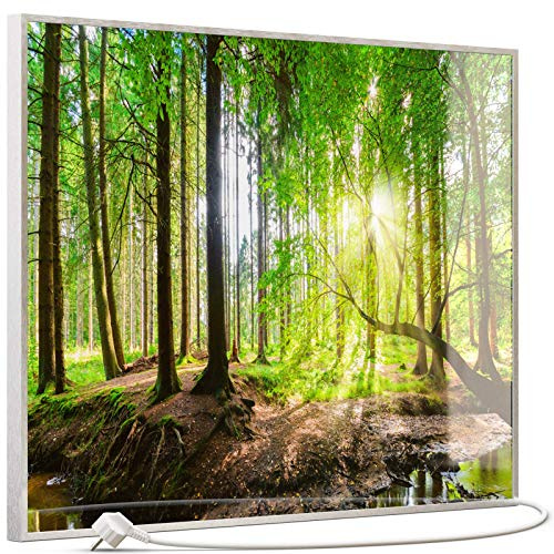 STEINFELD Heizsysteme® Glas Bild Infrarotheizung mit Thermostat | Made in Germany | viele Motive 350-1200 Watt Rahmen silber/alu (500 Watt, 067 Wald Panorama)