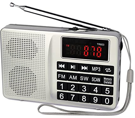 ZXNQ Transistor Radios Portable Battery Operated - FM AM SW Radio Operated by 1000mA lithium battery, Mono MP3 player