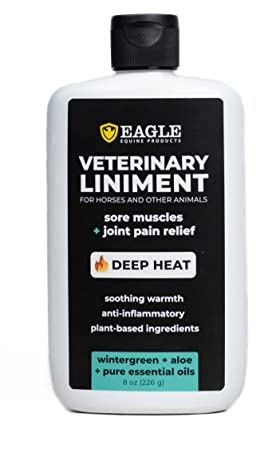 MagnaGard Veterinary Liniment Gel for Horses | Sore Muscle Rub | Soothing Warmth, Made with Plant-Based Ingredients | New & Improved Formula