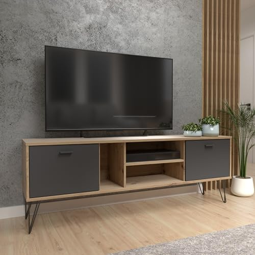 Forte NEYLE TV-Schrank 160 170, modernes TV-Lowboard, 2 Türen, Wohnzimmer, TV-Rack, Holzwerkstoff, Artisan Eiche Holzdekor/Schwarz, 163,1 cm breit x 58,0 cm hoch x 41,5 cm tief