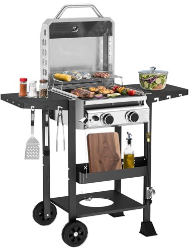 R.W.FLAME G20B Propane Gas Grill with 2-Burner, 16000 BTU Stainless Steel Outdoor BBQ Grill for Cooking with Top Cover Lid,Wheels,Side Storage Shelves,hooks Portable Barbeque for Patio Garden Camping