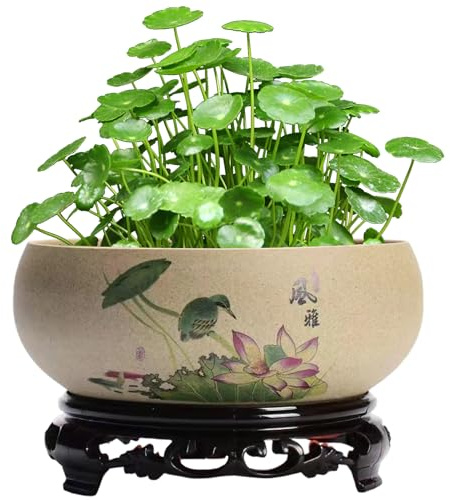 SMELEYOU Lotus Bonsai Schale für Lotusblume Keramik Blumenschale Blätter Birds Pflanzen Töpfe Innenarchitektur runder Blumentopf Hydroponic Bonsai Topfbehälter für Gartenbalkon Büro