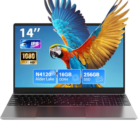 SADSYMB Ordinateur Portable 14 Pouces, Pc Portable 16Go RAM 256Go SSD N4120 Processor, Win 11 Laptop avec Souris Incluse, 1920 * 1080 IPS, 2.4/5.0G WiFi, BT5.0, USB 3.0, HDMI, TF Card Slot