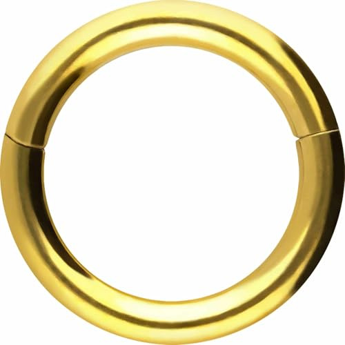 PIERCINGLINE Segmentring Clicker aus Chirurgenstahl - Piercing Ring in Gold, Silber, Rose, Schwarz oder Blau - für Nase, Septum, Ohr, Helix oder Tragus