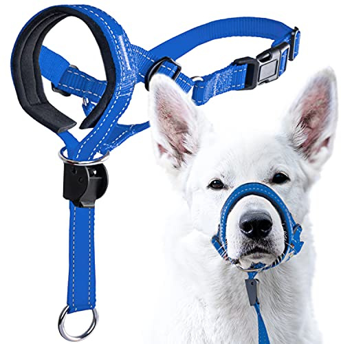 GoodBoy Dog Head Halter with Safety Strap - Stops Heavy Pulling On The Leash - Padded Headcollar for Small Medium and Large Dog Sizes - Head Collar Training Guide Included (Size 3, Blue Nylon)