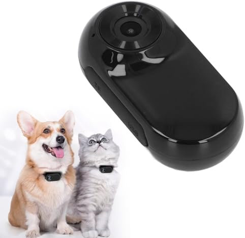 Sxhlseller Katzenhalsband Kamera, Bequem Verstellbare Clip On Haustierhalsband DV Kamera, 120°-Weitwinkelobjektiv, OTG Sofortfreigabe, Videoaufzeichnung, Katzen- und Hundeverfolgung, (Black)