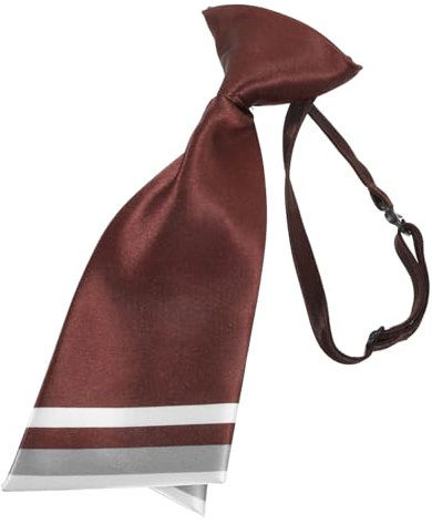 TINEASUR Professionelle Krawatte Für Damen, Business, Elegante Krawatten Für Frauen, Klassische Vorgebundene Krawatten Für Frauen, Damenkrawatten, Luxuriöse Damenkrawatte, Kleiderkrawatte,