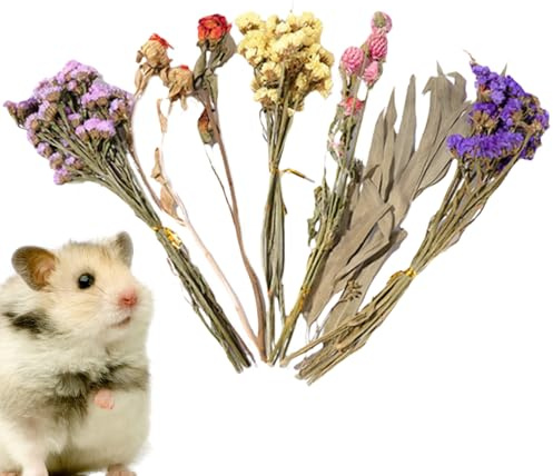 Genérico Flor de Espiga Natural, lecho de Flores secas para hámster, decoración para el hábitat de Ratones, Set de Aerosoles Decorativos para hámsteres y Animales pequeños
