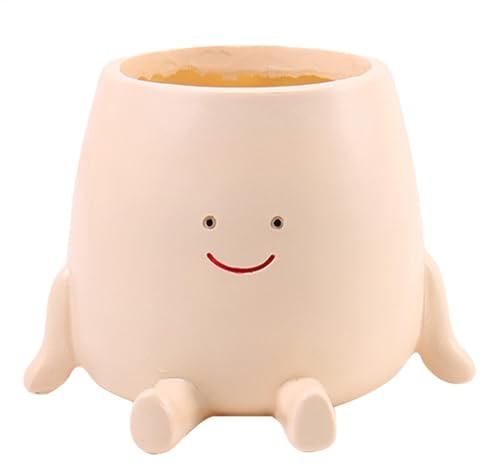 Genérico Macetero con Cara Sonriente, Maceta Decorativa con Forma de Cara Redonda, Bonita Maceta de Resina con Cabeza Sentada