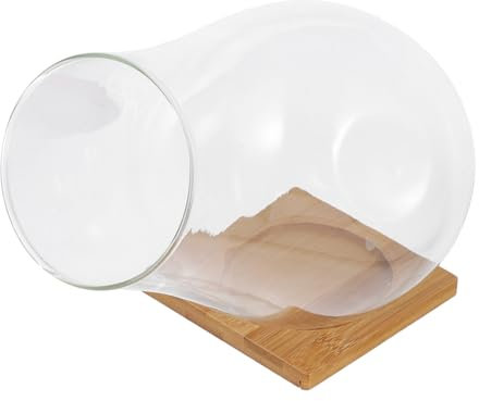 TOYANDONA Transparenter Glaspflanzer für Sukkulenten Dekoratives Terrarium Klarglasschale mit Bambusmatte Stilvolle Inneneinrichtung Luftreinigend und Feuchtigkeitsfördernd