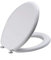 Copriwater compatibile Ideal standard serie Ellisse