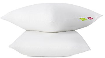 Abeil - Lot de 2 Oreillers Bio Attitude 60 x 60 cm - Moelleux et Gonflants - Tissu 100% Coton Issu de l’Agriculture Biologique, Garnissage 100% Polyester Cyclafill® - Lavable en Machine