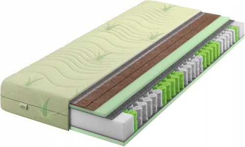 IZER Aloe Vera Taschenfederkernmatratze 2X Kokosmatte 90x200 x 21 cm Härtegrad H3 H5, Bezug Waschbar, 7-Zonen Federkernmatratze