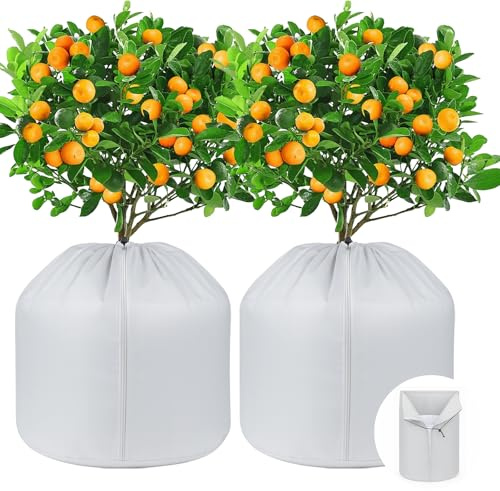 CAIJ 2 Stück Frostschutz Topfschutz 70 × 65 cm, Thermo Winterschutz für Kübelpflanzen, Oxford Topfschutzsack mit Zugband & Reißverschluss, Pflanzen Schutzabdeckung