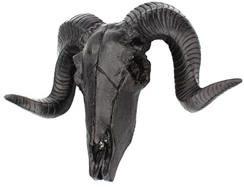 MagiDeal Sheep Head Wall Hanging wall Mounted Sculpture Curled Wall Art Wildlife Animal decor Faux Taxidermy