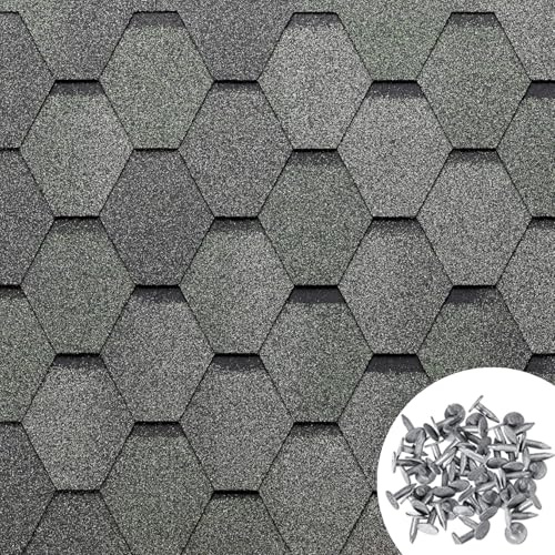 MASTERBRICO Tegole Canadesi per Tettoia Esterno 3,45 mq (24 Pz) | Tegola Canadese Bituminosa e Flessibile con Chiodi Inclusi – Facili da Installare, Resistenti a Intemperie e UV (A009)