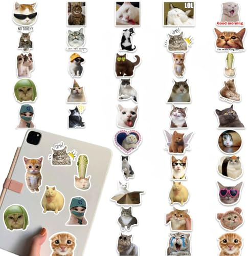 100 Stück Lustiges Katzen Aufkleber Set, Funny Meme Sticker Set, Meme Stickers for Car, süße Katzen Aufkleber, wasserfeste Vinyl Aufkleber ästhetische Aufkleber Wasserflaschen Sammelalbum Telefon