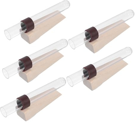 BESPORTBLE 5pcs Wall Mounted Hydroponic Test Tube Vases for Plant Propagation Hanging Planters for Wedding Decor and Indoor Greenery Easy Care Terrarium Containers for Stylish Home Decoration