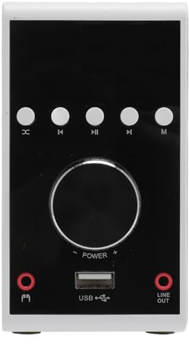 Sxhlseller 5.0 Amplificatore Piccolo, Stereo Sound Digital Amp Dual Channel USB BT Coassial Clear Sound Easy Control 200w per Proiettore (WHITE)