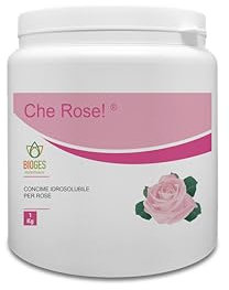 Bioges Che Rose! 1 kg Concime idrosolubile per Rose ad alberello, a cespuglio e rampicanti