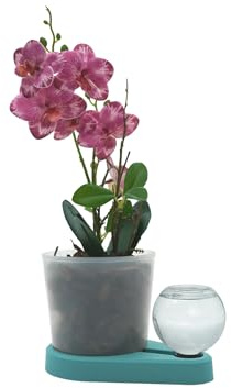 greevi Orchideenheld | Pflanztopf | Kunststoff, türkis | Selbstbewässernd, Inklusive Pflanzgranulat, Inklusive Orchideensubstrat, Made in Germany