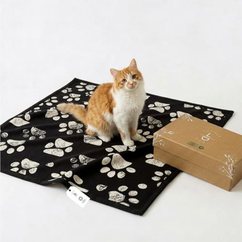 Little Dedi Kleine Haustierdecke, GOTS-Zertifiziert, 100% Bio-Baumwolle, Doppellagiges Plüsch-Sherpa, beigefarbener Jacquard-Pfoten-Strick, 76,2 x 101,6 cm, ideal für kleine Hunde und Katzen, weich