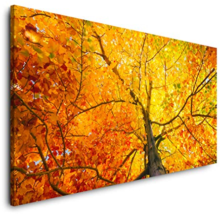 Baum mit bunten Blättern 120x 60cm Panorama Leinwand Bild XXL Format Wandbilder Wohnzimmer Wohnung Deko Kunstdrucke