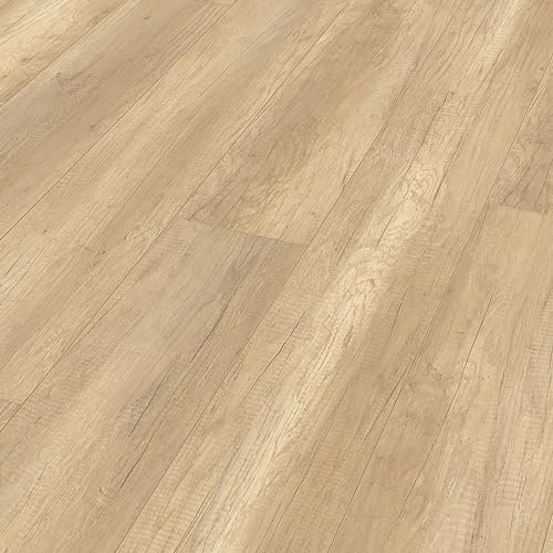 Meister Laminatboden MeisterDesign. Laminate LL 150 2052 x 220 x 8 mm 06259 Bootshaus Eiche hell Rohholz-Poren-Struktur
