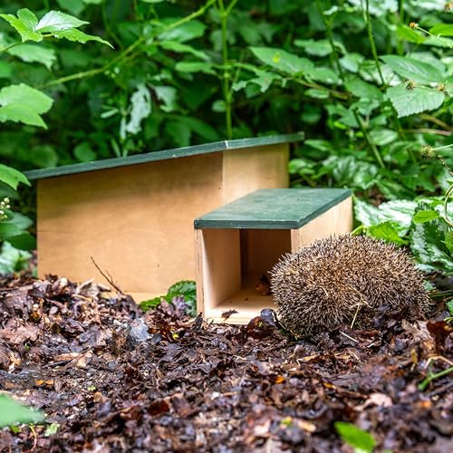 CJ Wildlife Igelhaus Winterfest – Igelfutterhaus aus wetterfestem Holz – 90-Grad-Eingang – einfaches klick-System – für Erwachsene Igel