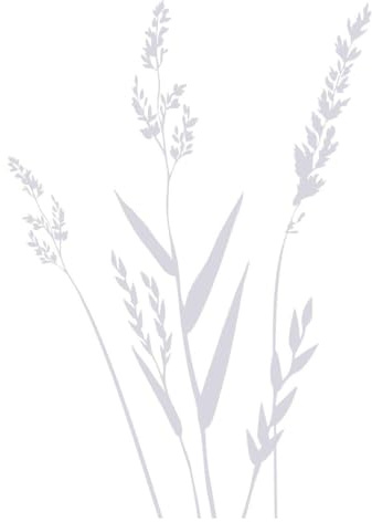 CLICKANDPRINT Aufkleber » Gräser, 90x63,2cm, Transparent • Wandtattoo/Wandaufkleber/Wandsticker/Wanddeko/Vinyl