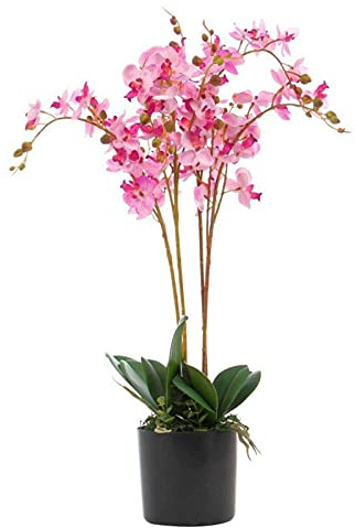 Leaf Design UK Realistic Artificial Orchid Flower Display in Pot, 60cm Pink