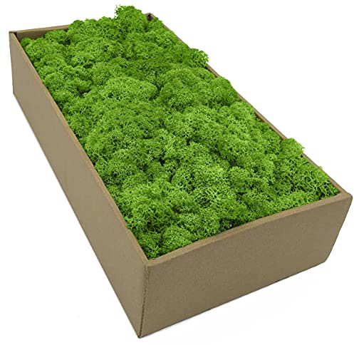 Moos Zeit KUNST DER NATUR Musgo Natural preservado Decorativo para Manualidades en 5 Colores Diferentes para modelismo y decoración para Pescua (Verde Hierba 500 gr)