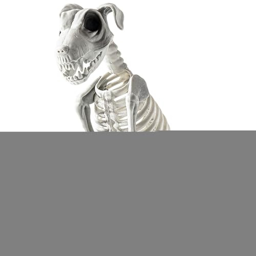 Tanxemery Halloween Skelett Hunde, Sitzendes Hunde Skelett Deko Mit Realistischen Zähnen, Schreckliche Und Merkwürdige Halloween Deko Statuen Für Draußen, Weiß