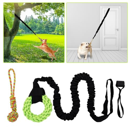 VORSAT Dog Rope Toys Set with Door Anchor, Interactive Bungee Tug Toy for Indoor and Outdoor Play, Black and Green