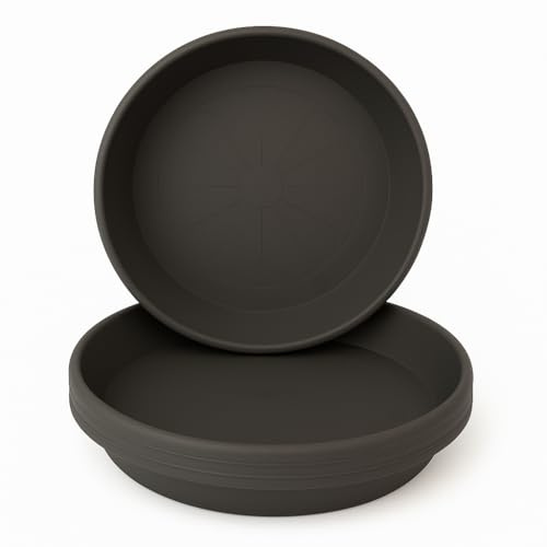 Home Garden Ornaments Blumentopf Untersetzer Set 5 Stück aus Kunststoff, Pflanzenuntersetzer für Innen und Außen, für Pflanzkübel, viele Größen und Farben (Anthrazit, 18,5 cm außen / 15,2 cm innen)