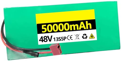 48V 30AH 40Ah 50Ah Ebike Akku 48V Ebike Batterie Eingebautes BMS Lithium-Ionen-Akku 48V 50Ah für Elektrofahrrad-Akkupack 1000W 750W 500W 200W Motor mit Ladegerät T,48V 40AH